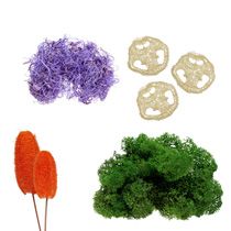 Loofah & Moss